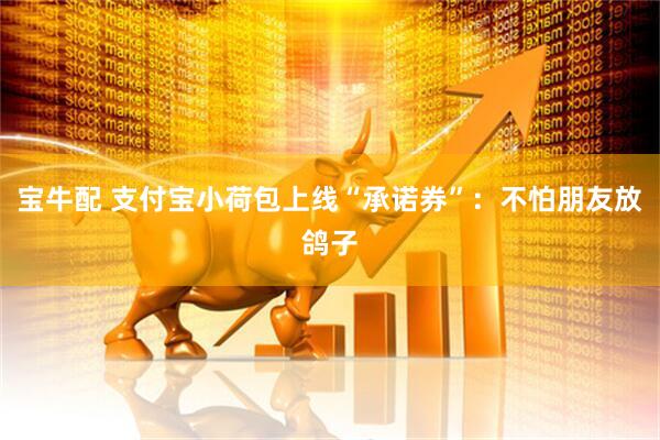 宝牛配 支付宝小荷包上线“承诺券”：不怕朋友放鸽子